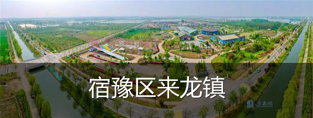 宿豫区来龙镇